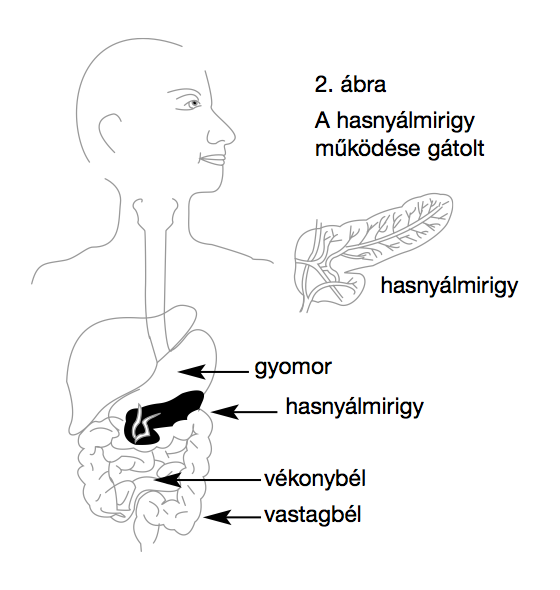 hasnyalmirigy