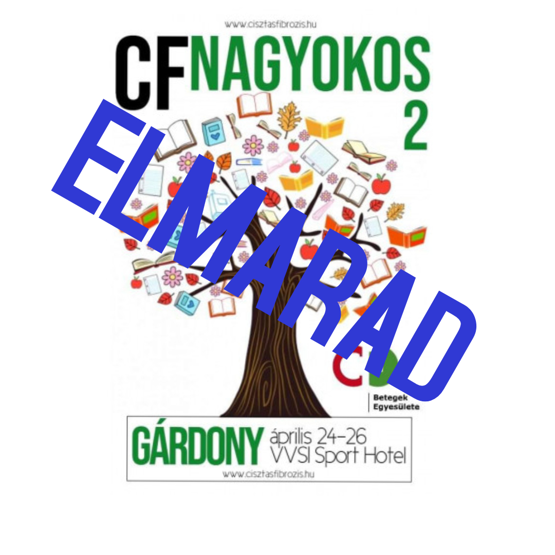 CF Nagyokos Elmarad